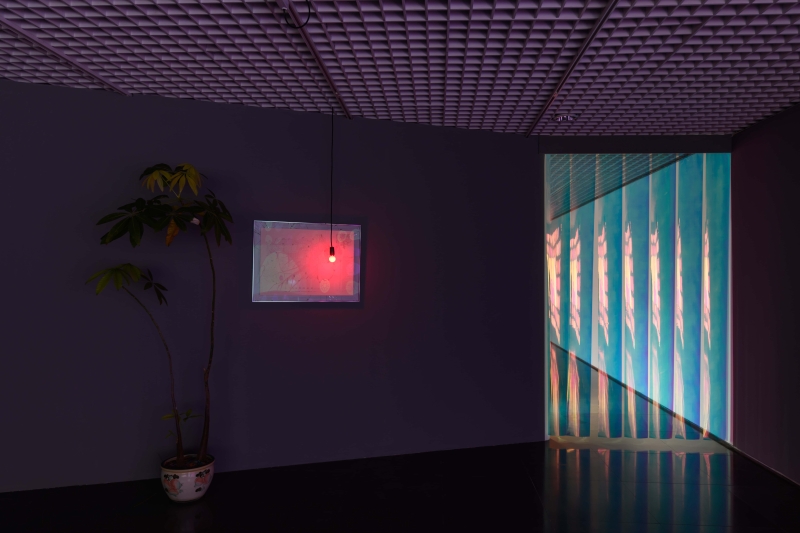 王韓芳策劃《即溶生活–未來記憶的想像》於台北北師美術館展覽現場，曲倩雯作品《機密錄雙城》展出